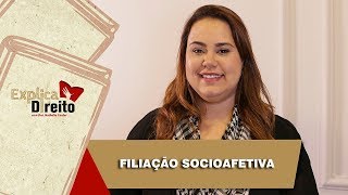 Explica Direito Filiação Socioafetiva  2019 [upl. by Tiffa]