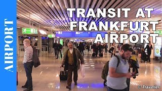 TRANSIT WALK AT FRANKFURT Airport FRA Terminal 1  Connection Flight Transfer Arriving amp Departing [upl. by Nathanial927]